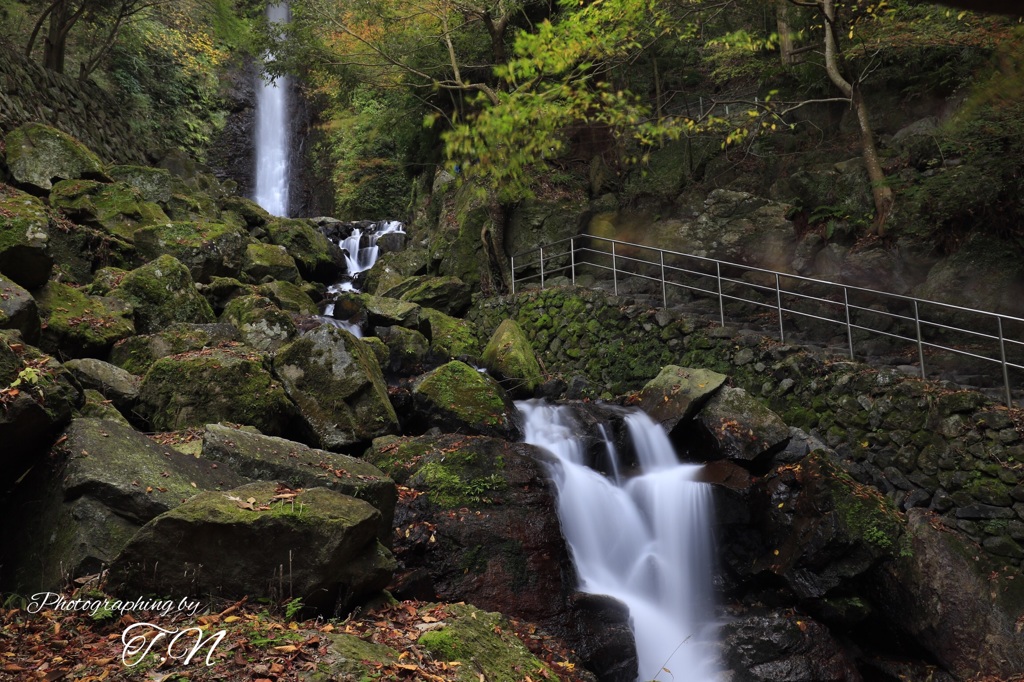 養老の滝