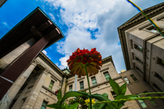 火のない花火。