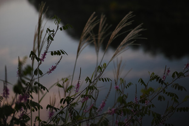 0E3D9390-D8DF-4973-A70D-4C449828F284-296