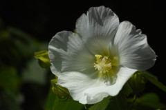 F200929B-D8DC-4058-93F1-1B1579F48882-169