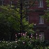 DP2M9890