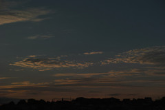 5A3BFFC9-AB81-4C13-8010-D9AFB7B3F0AA-368
