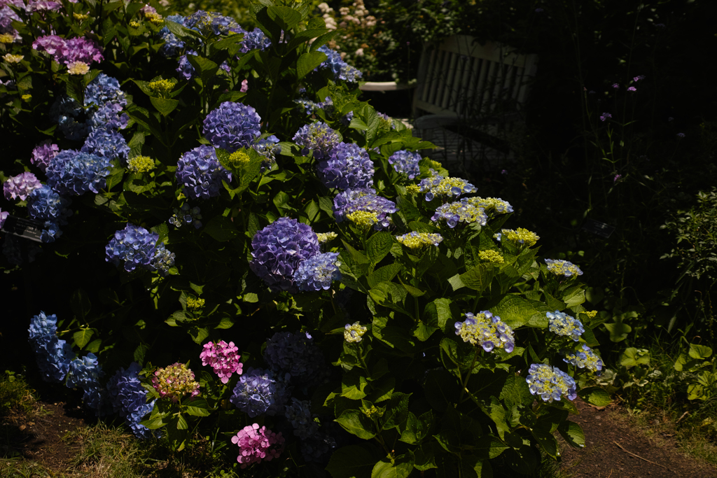 DP2M0016