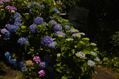 DP2M0016
