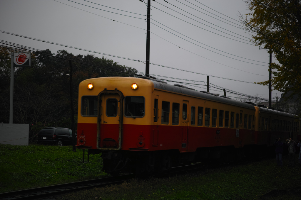 _P3M2737