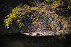 _P3M3694