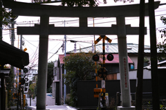_P3M3557
