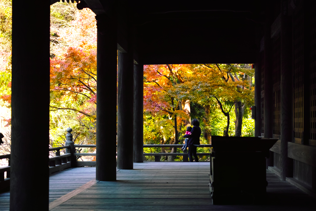妙本寺本堂