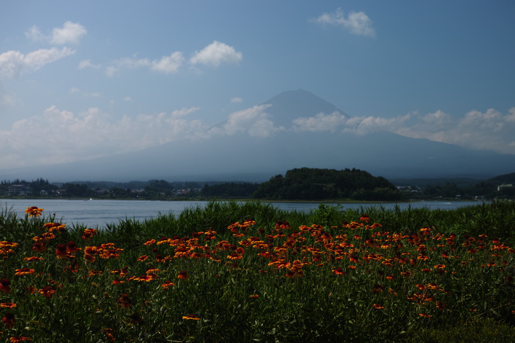 DP2M5763