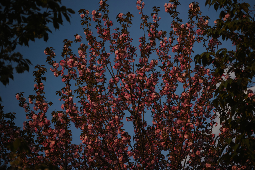 _P3M3771