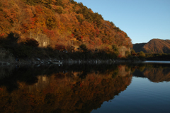 DP1M5796