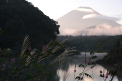 6F6C9E7D-80A9-4029-8D31-2731A90447BD-296