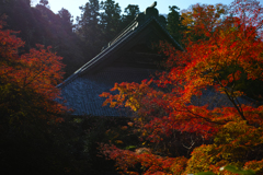 DP2M9259
