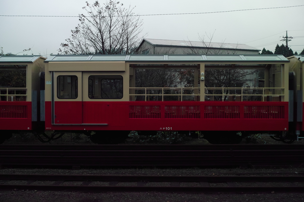 DP2M1974