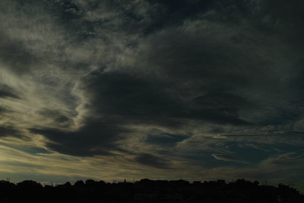 1C234C39-2F60-452F-97CD-3BCDC81302EB-368