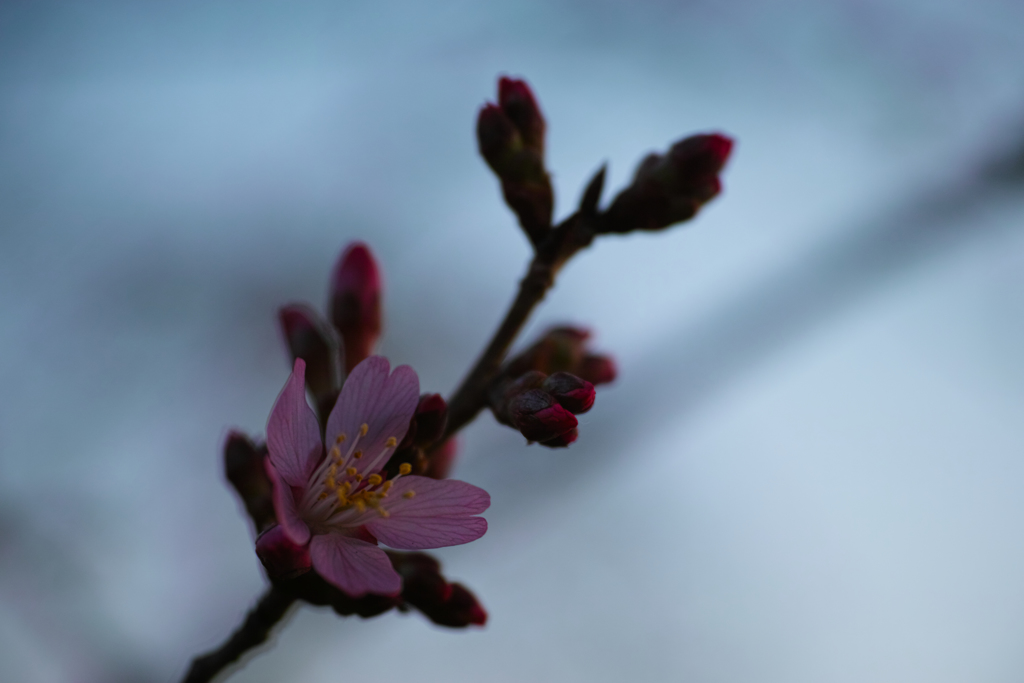 _P3M7940
