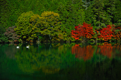 南伊奈ヶ湖の紅葉