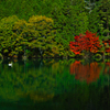 南伊奈ヶ湖の紅葉