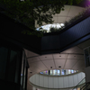 DP2M9891