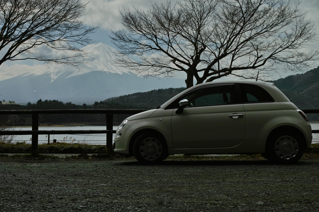 DP2M3771