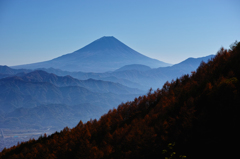 青い富士山と秋色の山