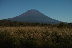 7A222959-E05C-4E54-9680-B01FB2714497-881