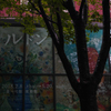 DP2M9875