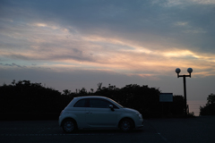 DP2M7481