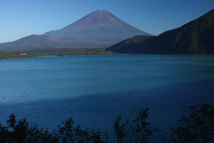 CEE9DC00-A57D-4E61-B265-ED9A7C22F350-881