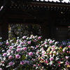 DP2M3754