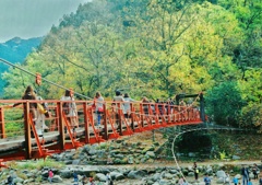 つり橋