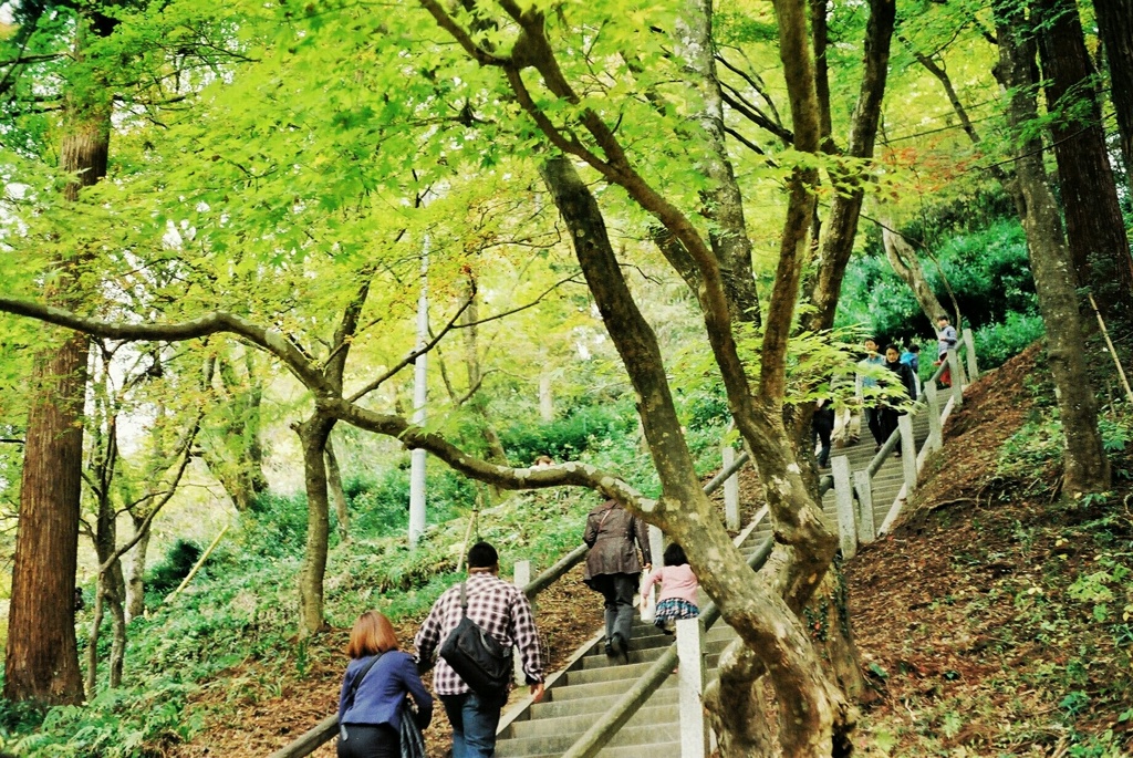 香嵐渓2