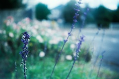 FH000019-01-01