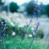 FH000019-01-01