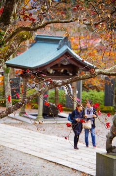 祈りの行方