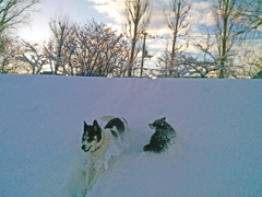 2015_12_30_15_24_39_OneShot