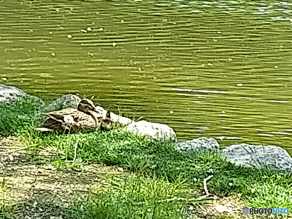 IMG_20170529_113251939