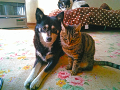 WP_20151220_09_12_22_Pro