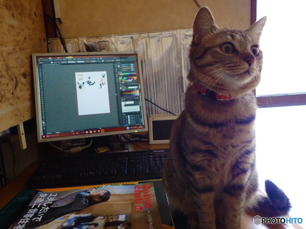 仕事の邪魔するのが仕事