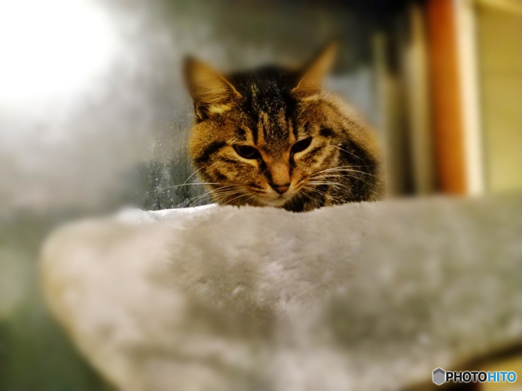 2019-01-08-06-01-24-066-01