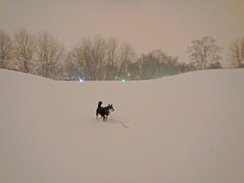 DSCN0023