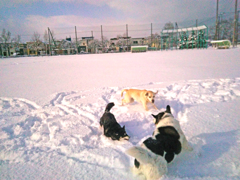 WP_20151218_11_31_49_Pro