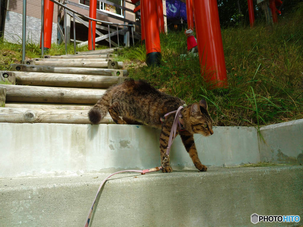 清田稲荷神社