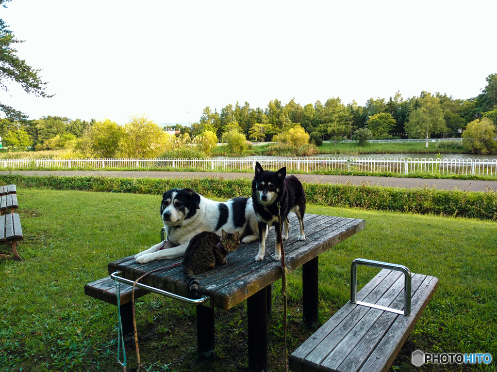 あいの里公園