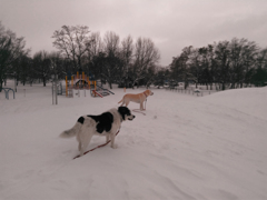 WP_20160122_13_21_02_Pro