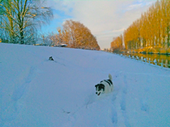 2015_12_30_15_25_17_OneShot