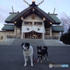 篠路神社