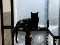 DSCN0202