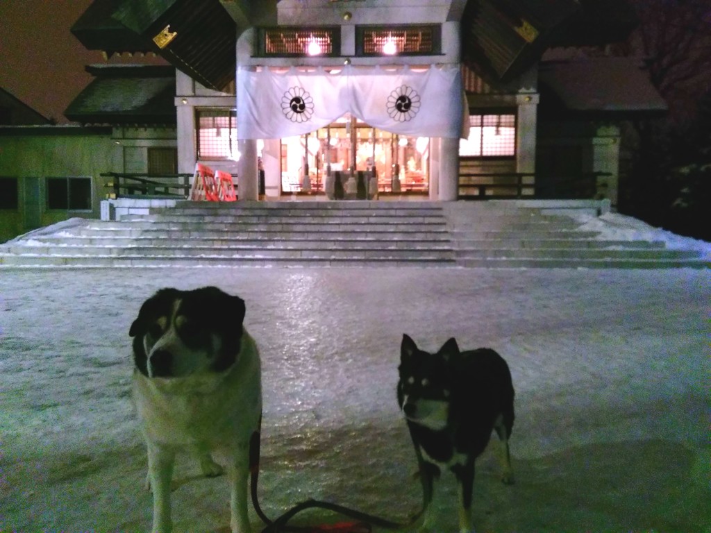 2016_01_02_05_17_13_OneShot_1451681048