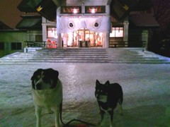 2016_01_02_05_17_13_OneShot_1451681048